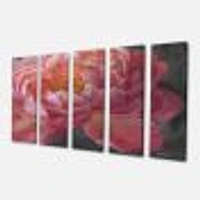 Panneaux de toile « Vivid Pink Peonies I »