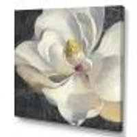 Vivid White Magnolia IV  Canvas Wall Art