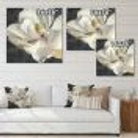 Vivid White Magnolia IV  Canvas Wall Art