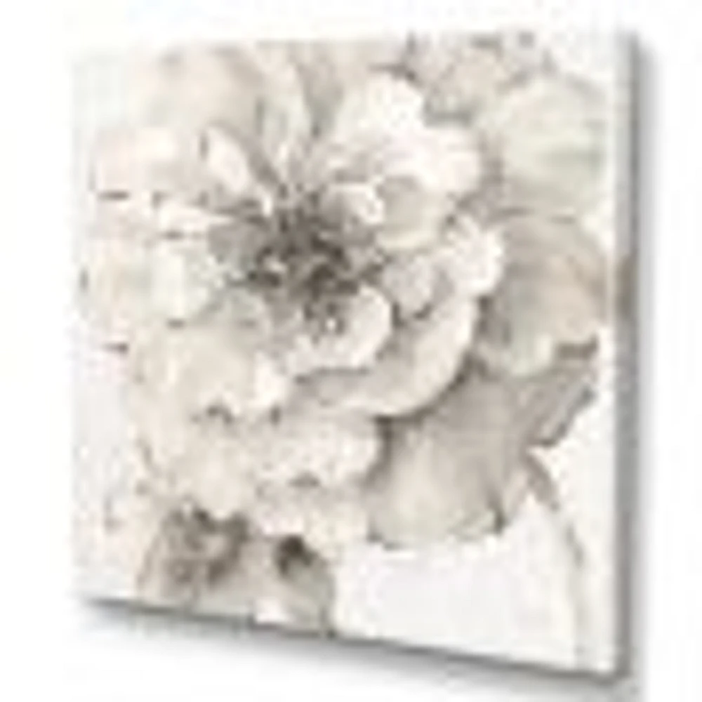 Indigold Grey Peonies I  Canvas Wall Art