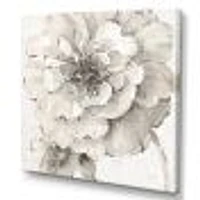 Indigold Grey Peonies I  Canvas Wall Art