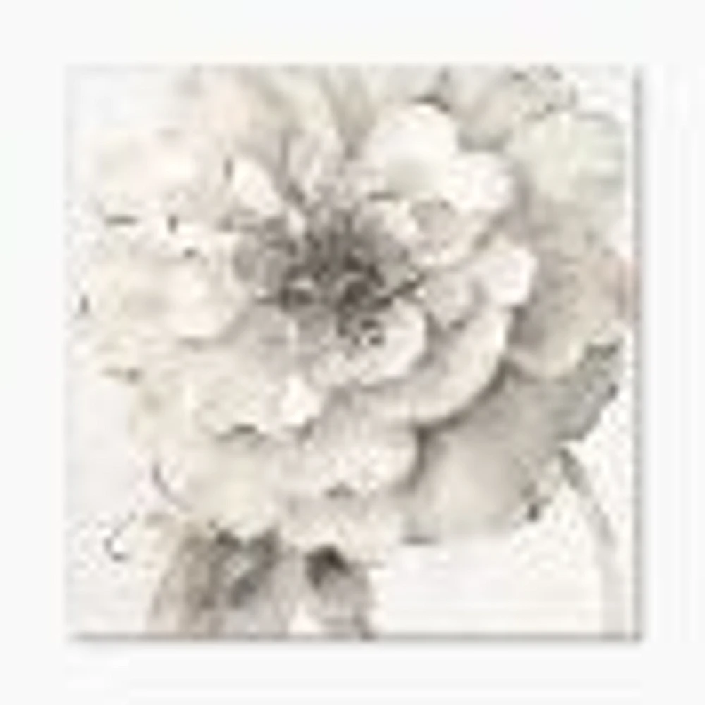 Indigold Grey Peonies I  Canvas Wall Art