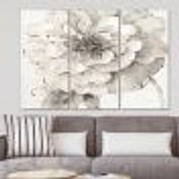 Indigold Grey Peonies I Canvas Wall Art - 3 Panels