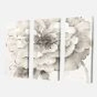 Indigold Grey Peonies I Canvas Wall Art - 3 Panels