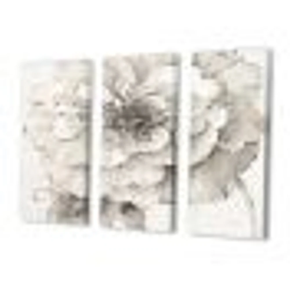 Indigold Grey Peonies I Canvas Wall Art - 3 Panels