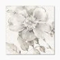 Indigold Grey Peonies II  Wall Art