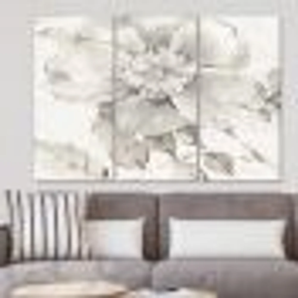 Indigold Grey Peonies II Canvas Wall Art - 3 Panels