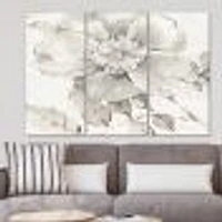 Indigold Grey Peonies II Canvas Wall Art - 3 Panels