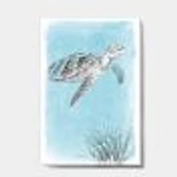 Toile « Coastal Sea Life I Turtle sketches »