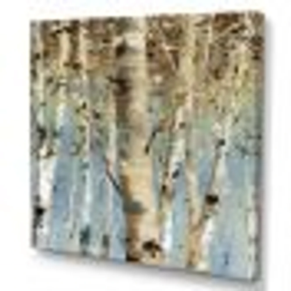 White Birch Forest II  Canvas Wall Art