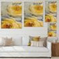 Sunshine Yellow Flower III  Wall Art