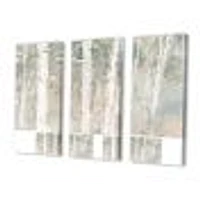 A Woodland Walk into the Forest V  Canvas Wall Art