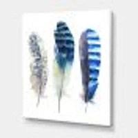 Colourful Boho Feathers I  Wall Art