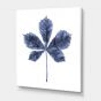 Navy Blue Chestnut Leaf  Wall Art