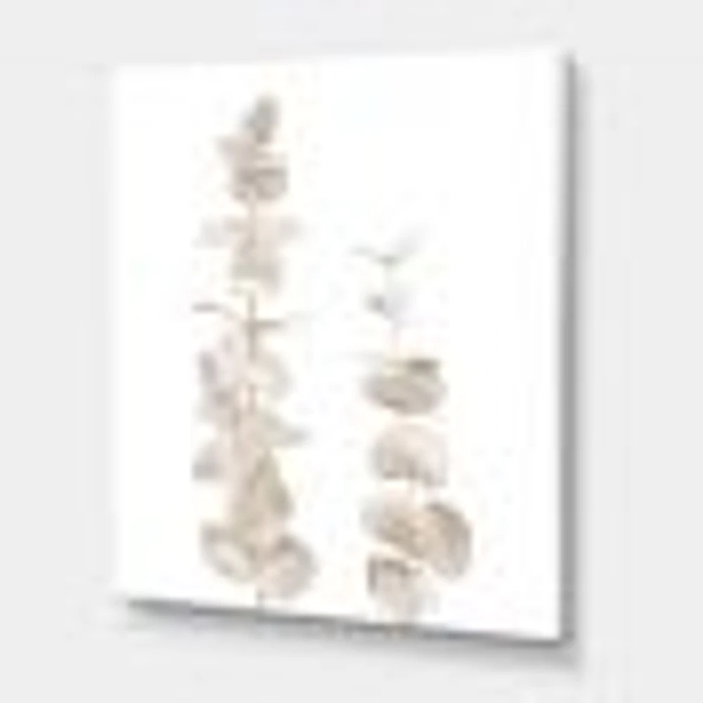 Beige Eucalyptus Branches on White  Wall Art