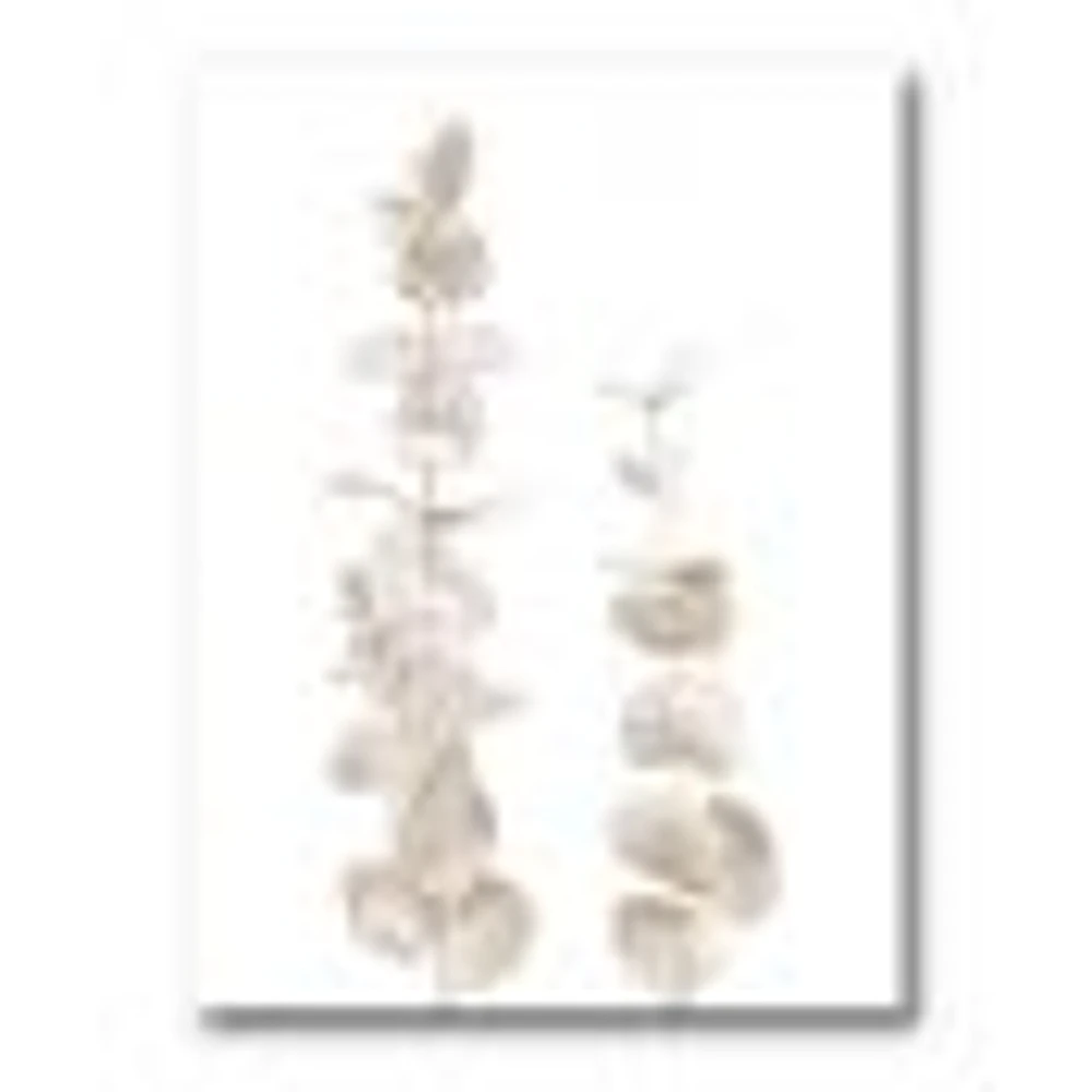 Beige Eucalyptus Branches on White  Wall Art