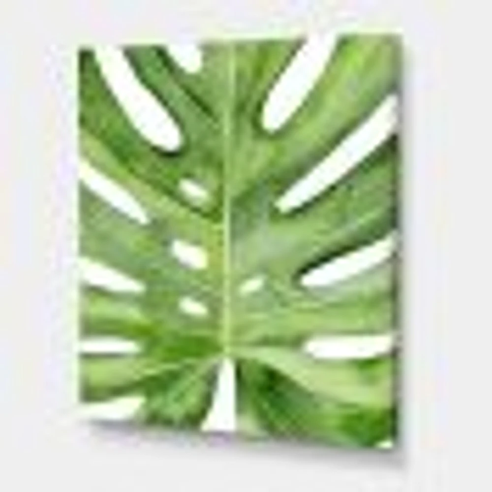 Toile « Green Monstera Leaf Tropical Palm Botanical Detail »