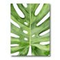 Toile « Green Monstera Leaf Tropical Palm Botanical Detail »