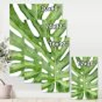 Toile « Green Monstera Leaf Tropical Palm Botanical Detail »