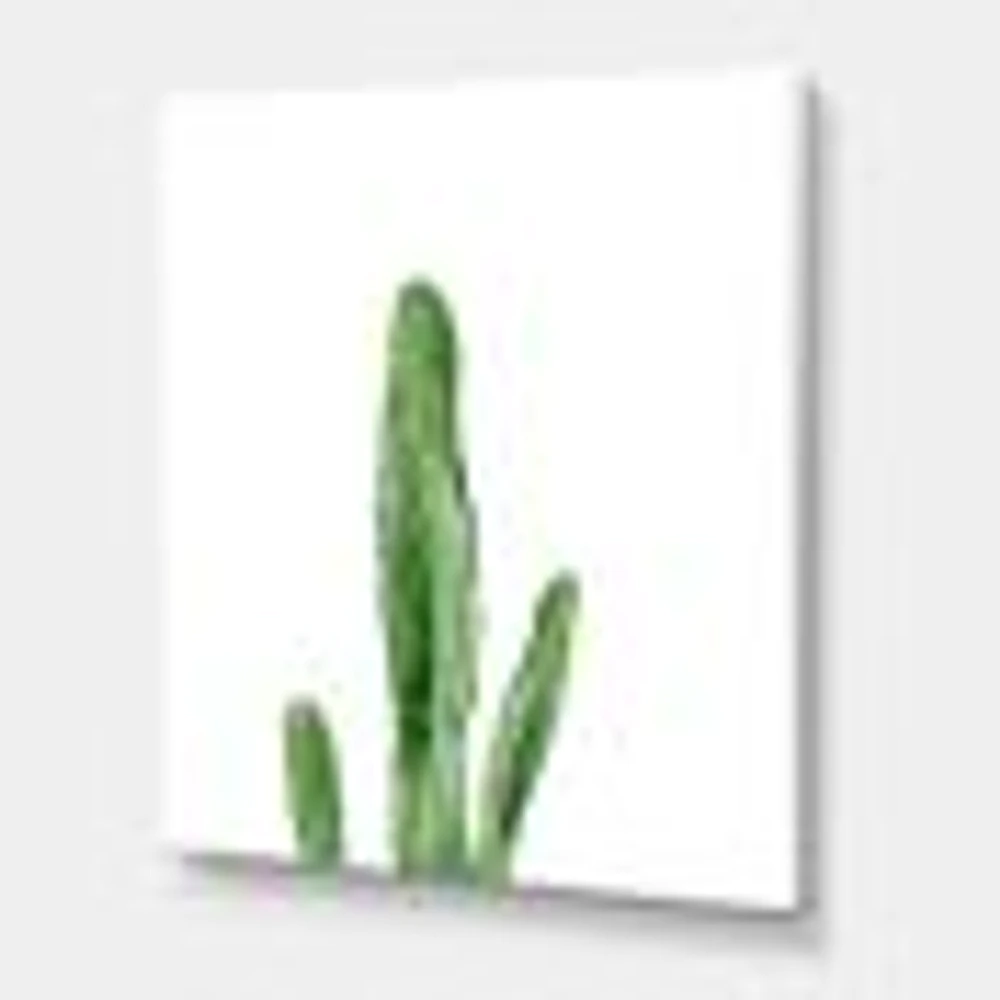 Toile « Green Cactus South Western Plant Botanical Detail »