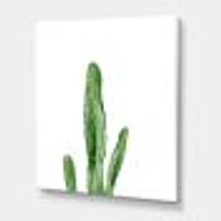 Toile « Green Cactus South Western Plant Botanical Detail »