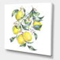 Toile « Branch of Yellow Lemons and Leaves I