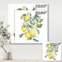 Branch of Yellow Lemons and Leaves I  Wall Art