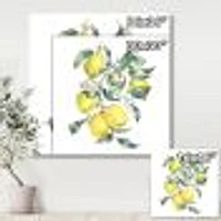 Toile « Branch of Yellow Lemons and Leaves I