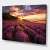 Sunrise & Dramatic Clouds Over Lavender Field IV  Wall Art