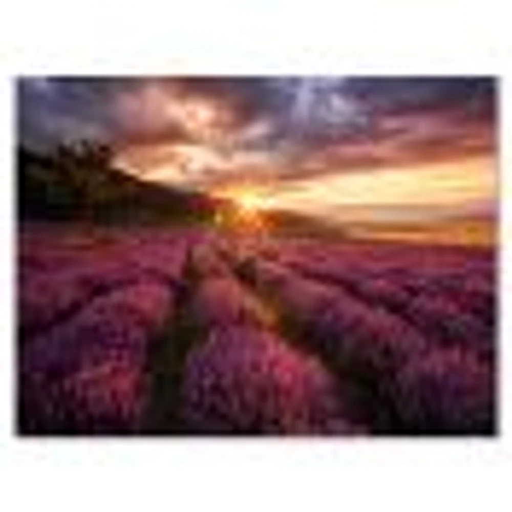 Sunrise & Dramatic Clouds Over Lavender Field IV  Wall Art