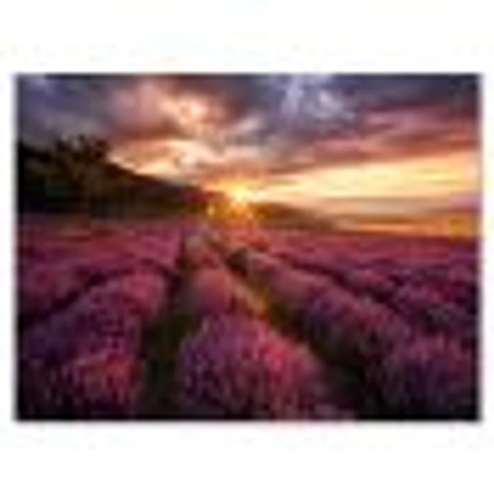 Sunrise & Dramatic Clouds Over Lavender Field IV  Wall Art