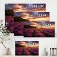 Sunrise & Dramatic Clouds Over Lavender Field IV  Wall Art