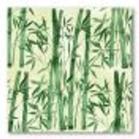 Toile « Bamboo Branches The Forest I »