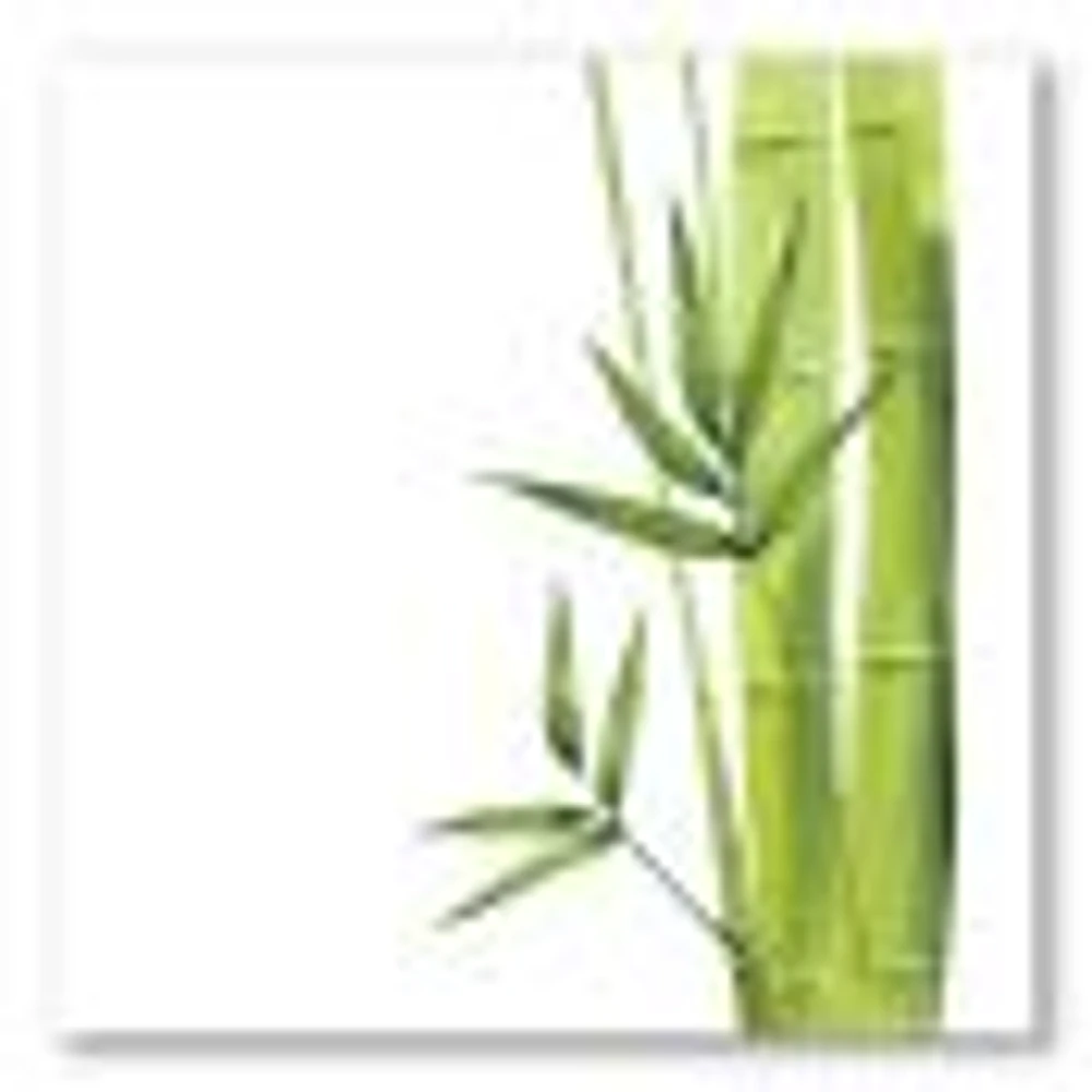 Bamboo Branches The Forest V  Wall Art