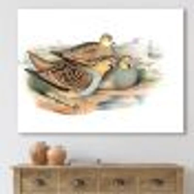 Toile « Vintage Birds The Wild III »