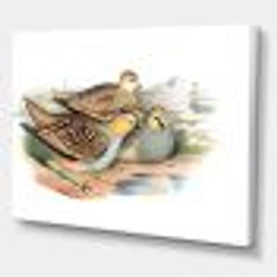 Vintage Birds The Wild III  Wall Art