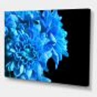 Detail of Blue Flowers on Black I  Wall Art