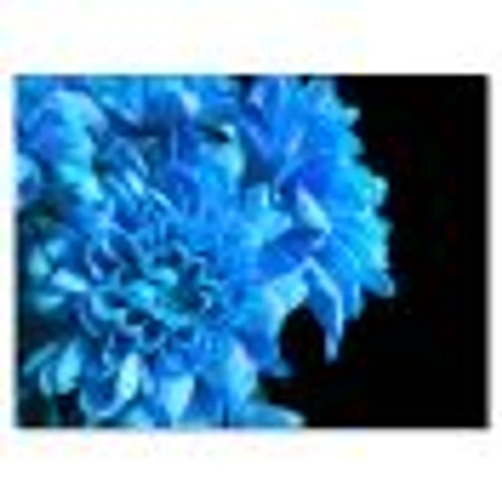 Detail of Blue Flowers on Black I  Wall Art