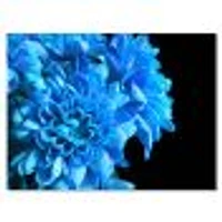 Detail of Blue Flowers on Black I  Wall Art