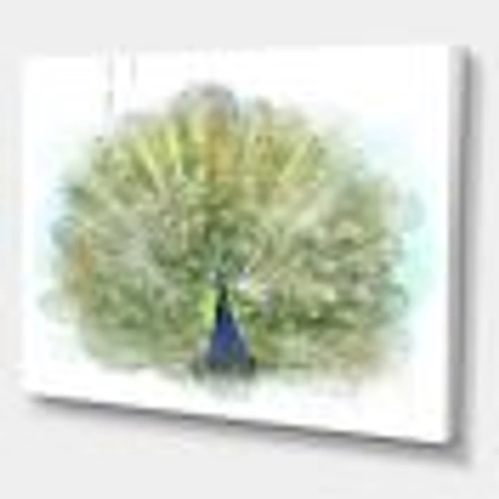 Peacock Bird  Wall Art