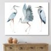 Toile « Heron Birds II