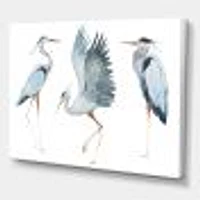 Toile « Heron Birds II