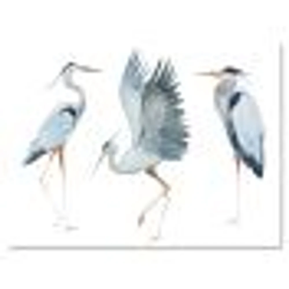 Heron Birds II  Wall Art