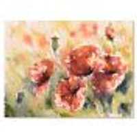 Red Poppy on A Field  Wall Art