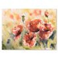 Red Poppy on A Field  Wall Art