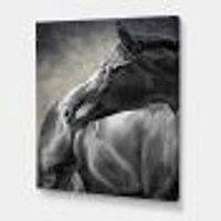 Toile imprimée « Portrait of A Black Horse »