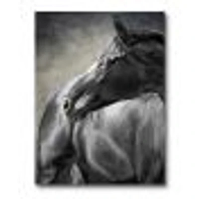 Portrait of A Black Horse  Canvas Wall Art Print