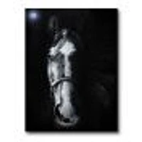 Toile « Horse Staring Sinister »