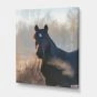 Portrait of A Horse on An Autumn Morning  Wall Art