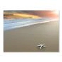 Starfish on a Beach Canvas Wall Art Print